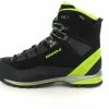 Lowa Alpine Pro GTX LE -Sportschuhe Geschäft 014821 1
