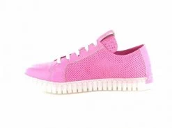 AndiaFora Bet Fuxia -Sportschuhe Geschäft 016307 3