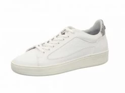 Floris Van Bommel 13265