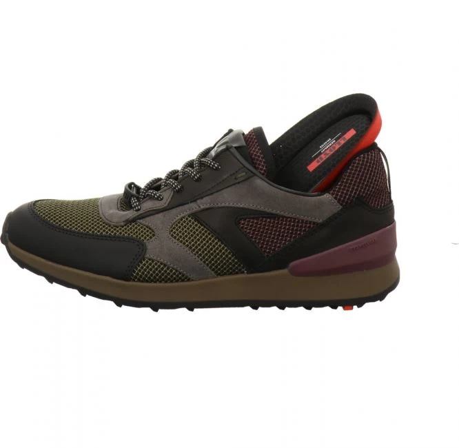 Lloyd Alexander 8 Lloyd Alexander – Bild 6