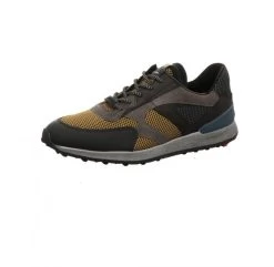 Lloyd Alexander Schwarz