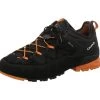 Aku Rock DFS Low GTX Black 1 Aku Rock DFS Low GTX Black -Sportschuhe Geschäft 021258 1