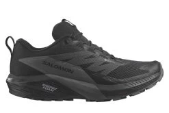 SALOMON Sense Ride 5 GTX (Herren)